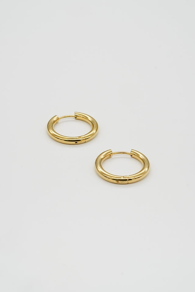 Gold Hoops